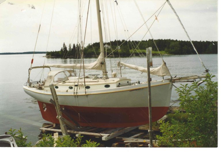 scan0017 768x533