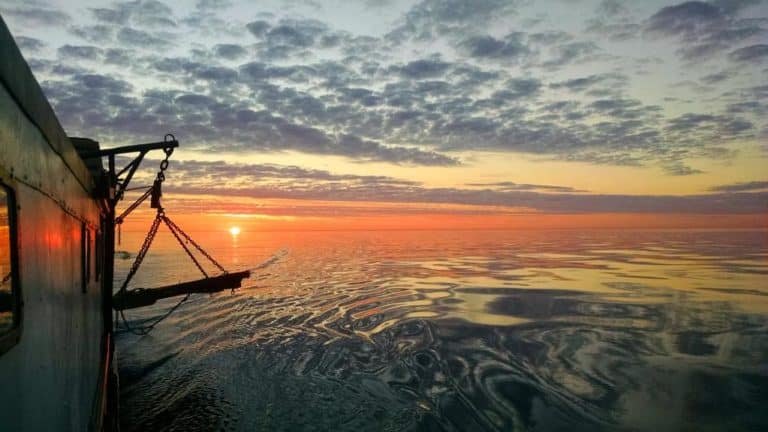 sea grant 768x432