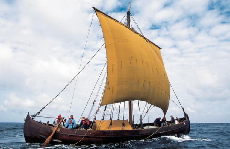 viking1 768x498