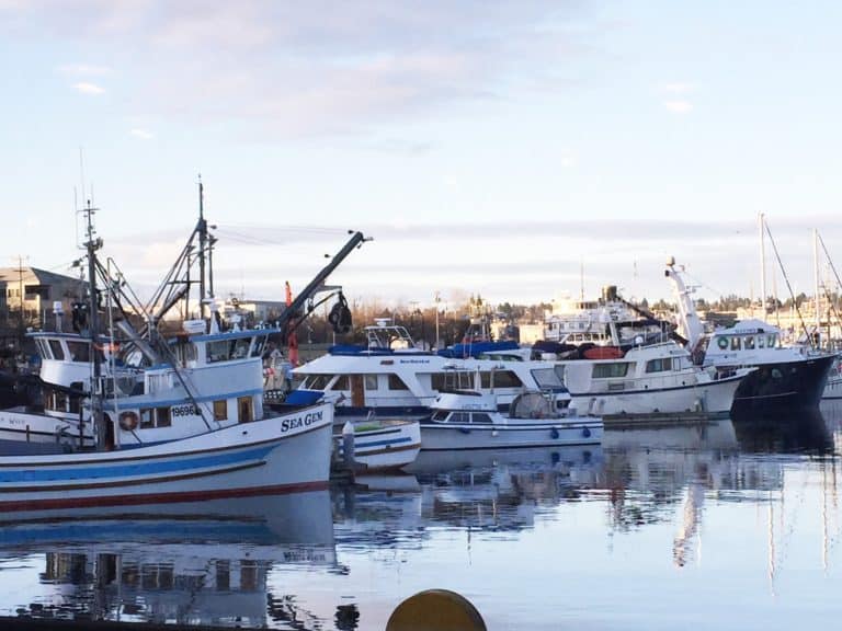 wa sea grant 768x576