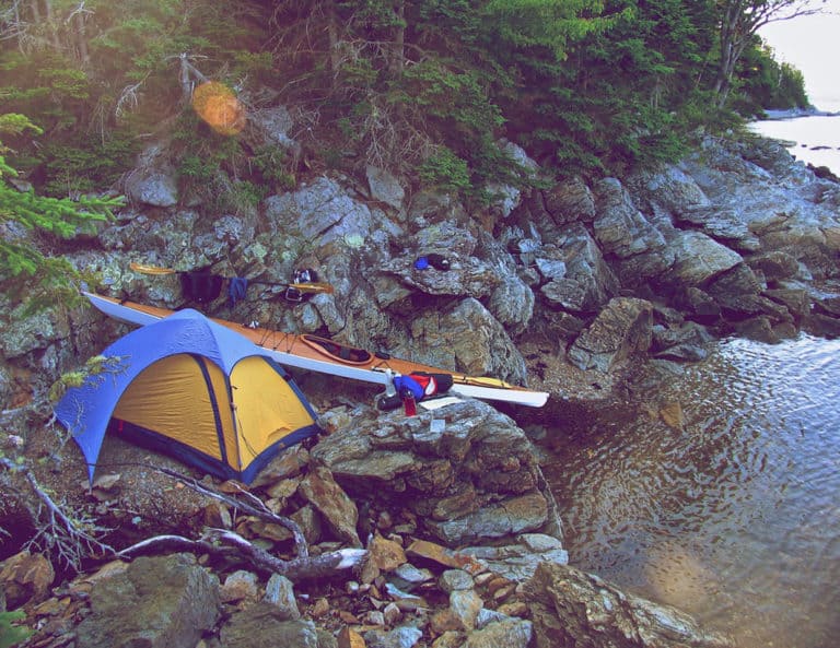 willow expedition 768x593