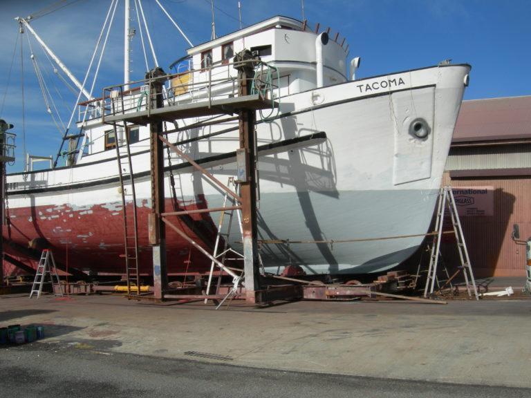 chasys fish 004 768x576