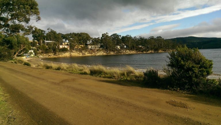 cygnet 768x434