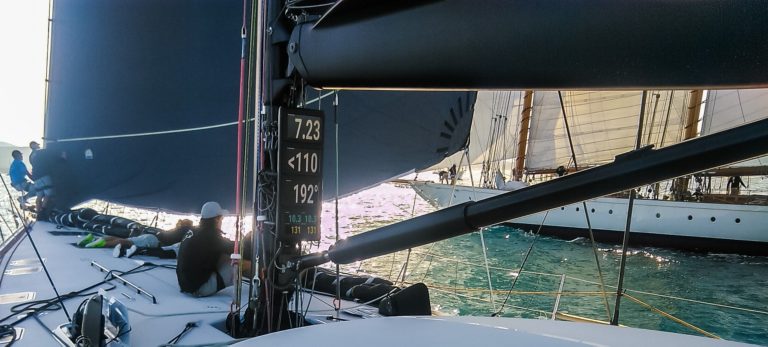 seahorse 768x347