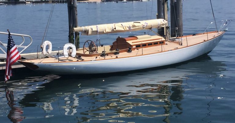 IMG 0050 ZOOM 768x403