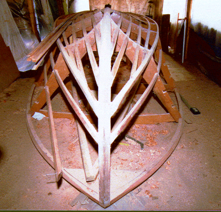 boat 768x737