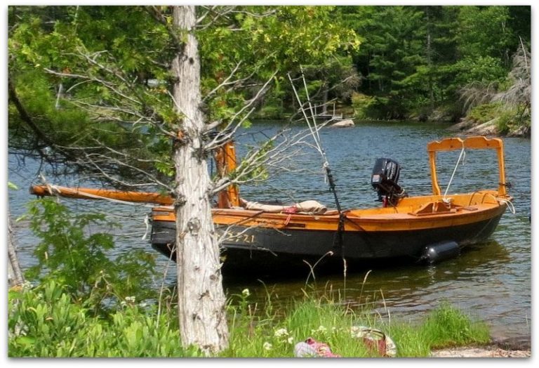 rav float 1 768x524