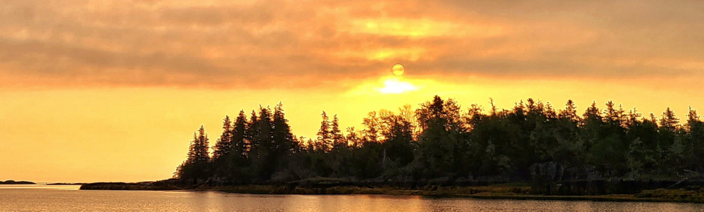 User banner image