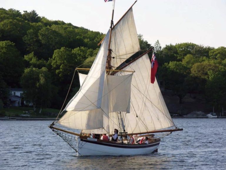 Badger under sailbig 768x576