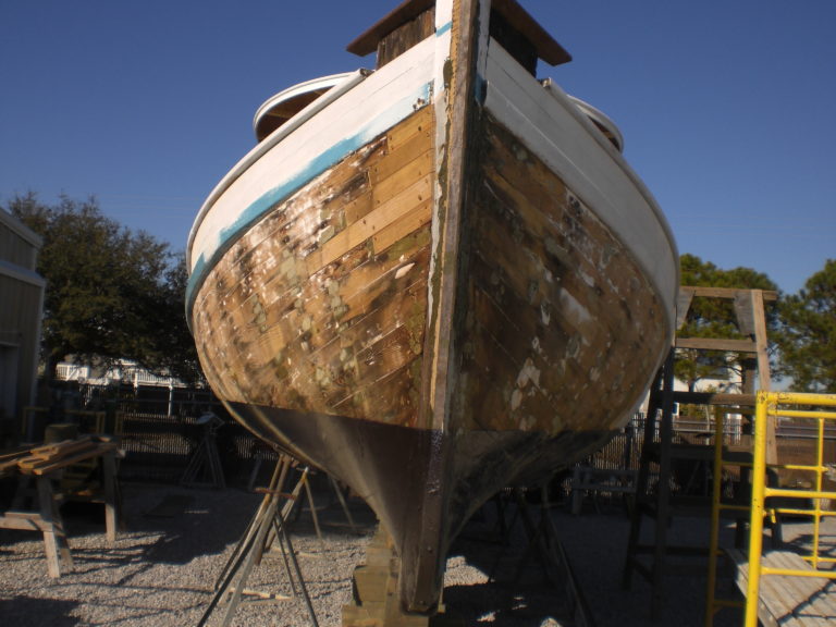 CIMG0873 768x576