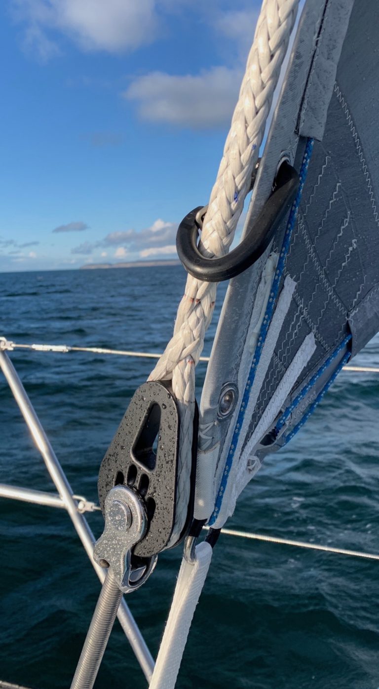 Colligo REALLY up close  768x1395