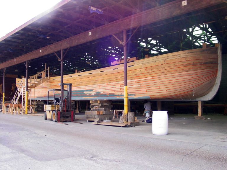 DSC06226 768x576