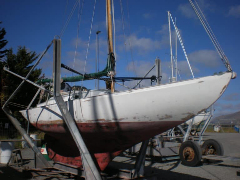 DSCN2269 768x576