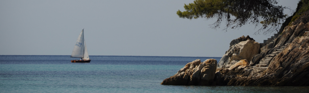 User banner image