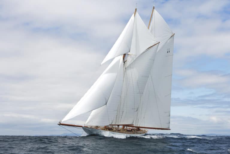 Elena Maiden Sail Vigo 768x515