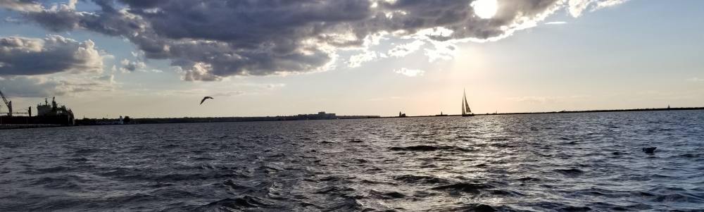 User banner image