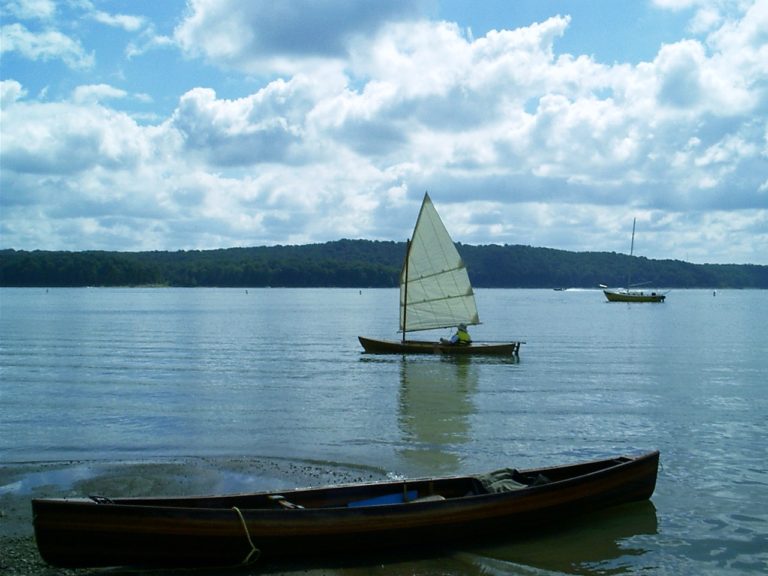 IMAG0003 768x576