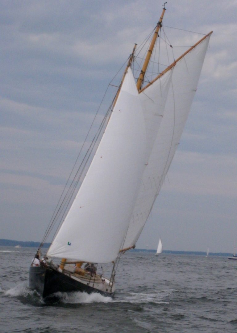 IMG 0237 768x1075