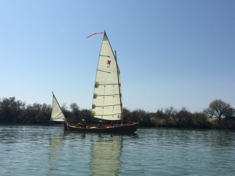IMG 1305 768x576