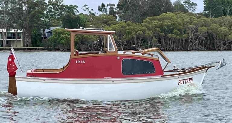 Iris 768x408