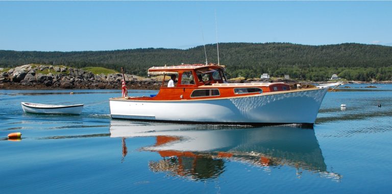 Lark 1s 768x380