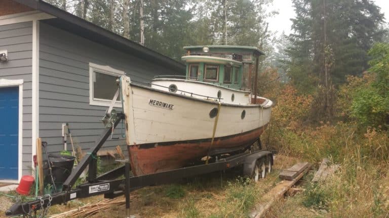 Merriwake 2018 2 768x432