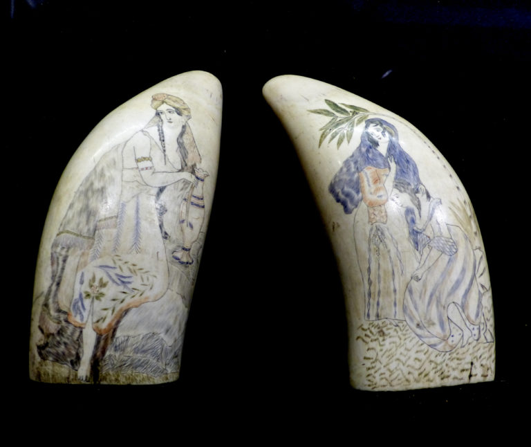 P1100152 768x646