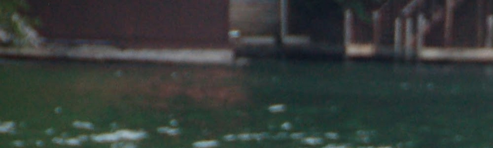 User banner image
