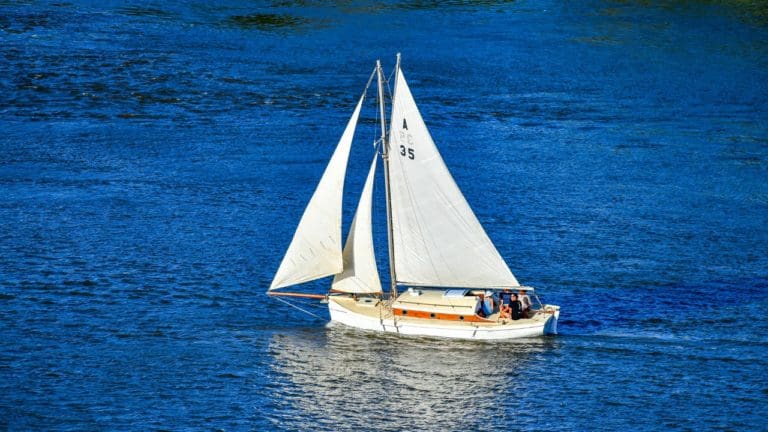 arana 1 768x432