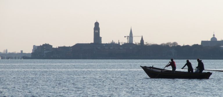 rowing 768x336