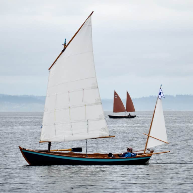 salish 768x768