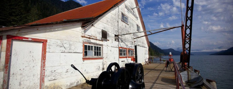 slide 07 768x294
