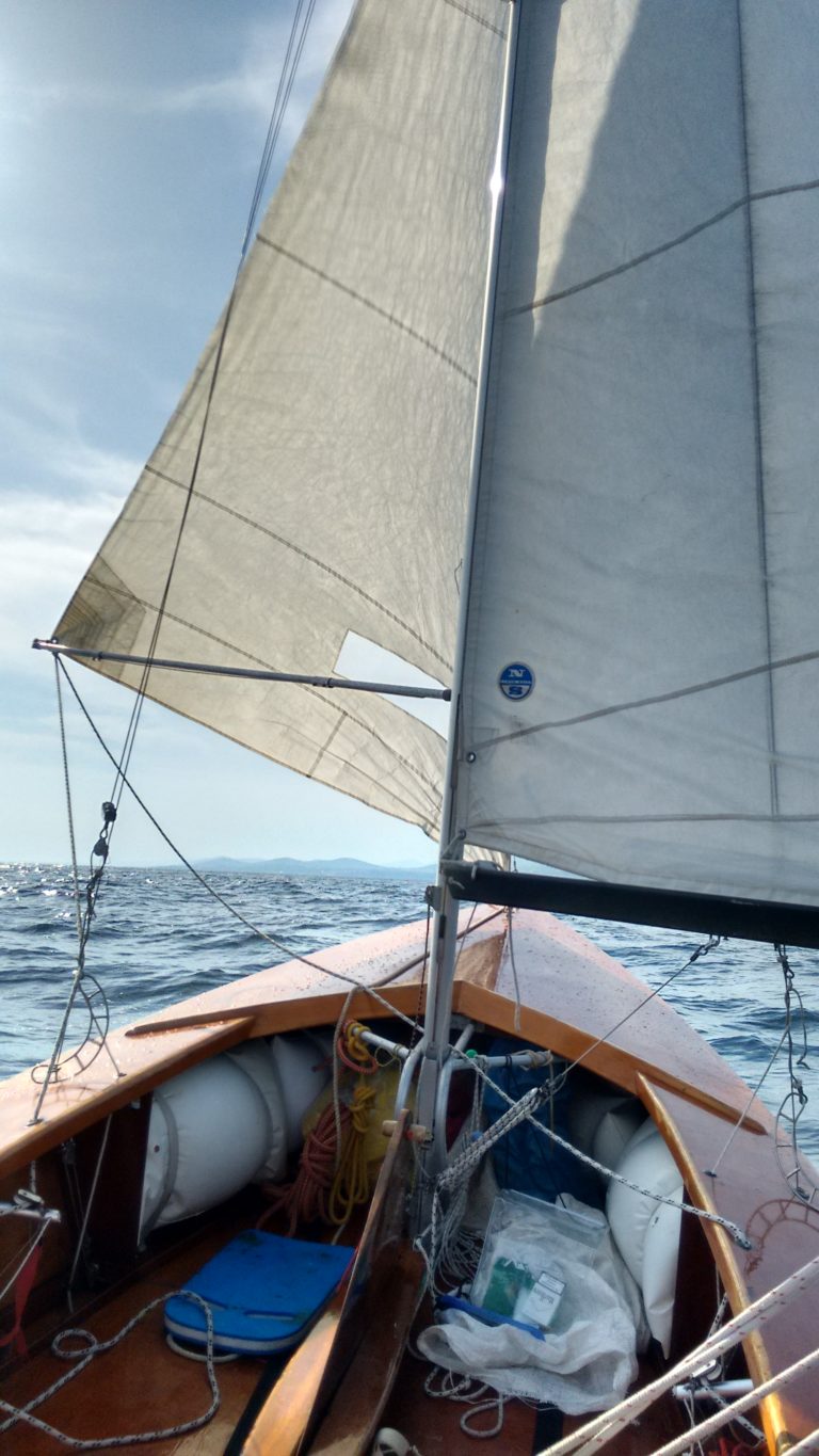 z6 768x1365