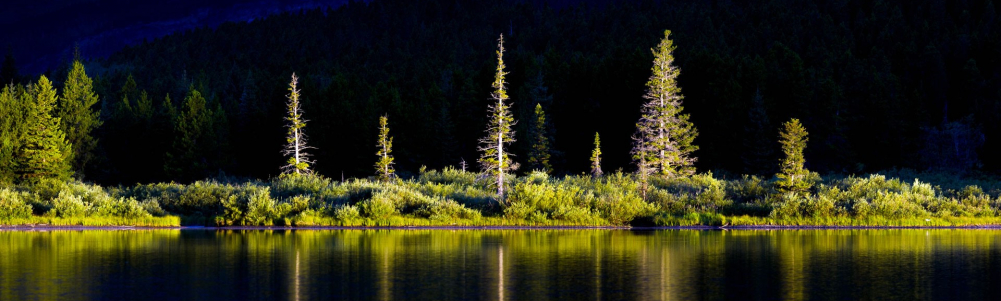 User banner image
