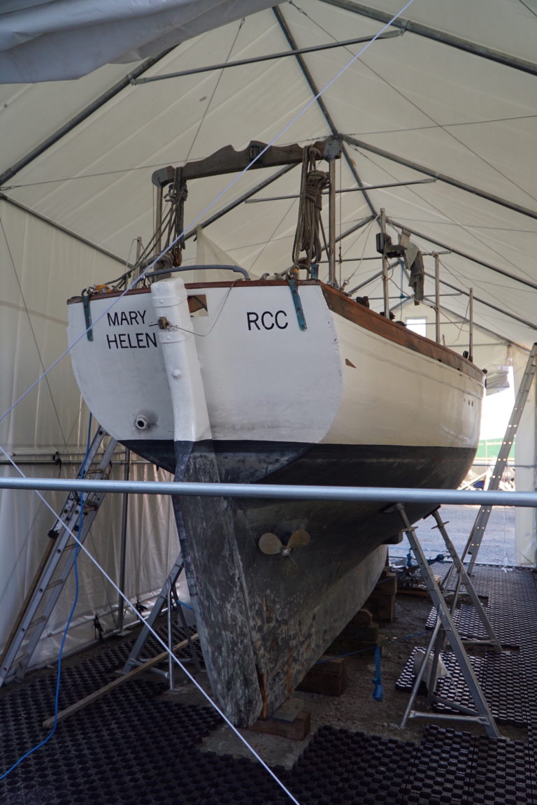 Dancover stern 768x1151