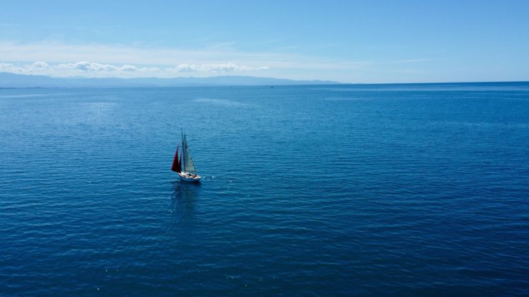Maya in Tasman Bay 768x432