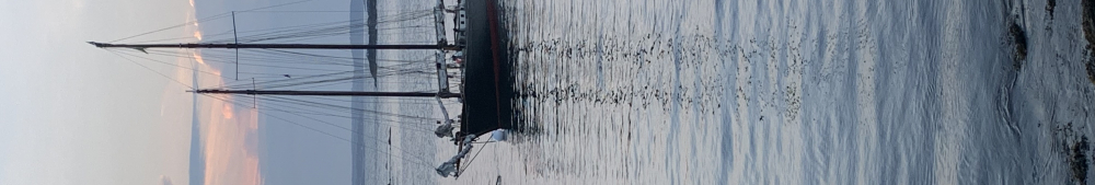 User banner image