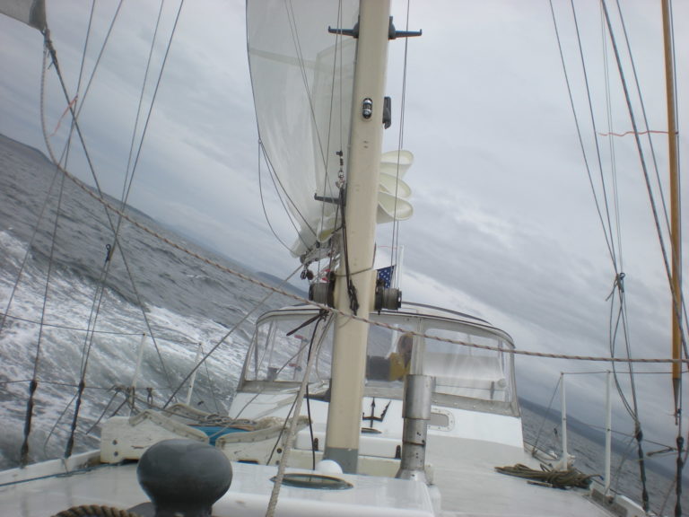 DSCN8909 768x576