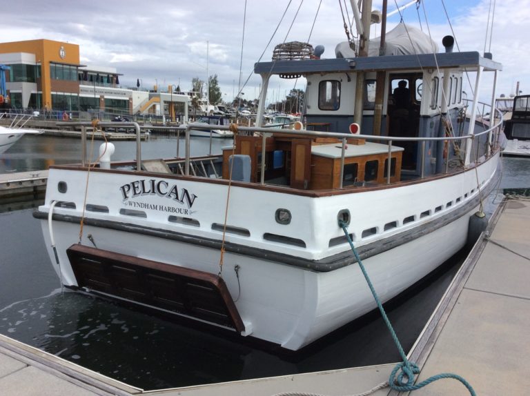 Pelican 768x574