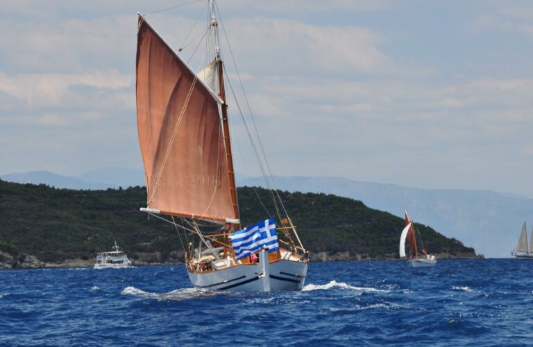 IMG 0298 1 768x501