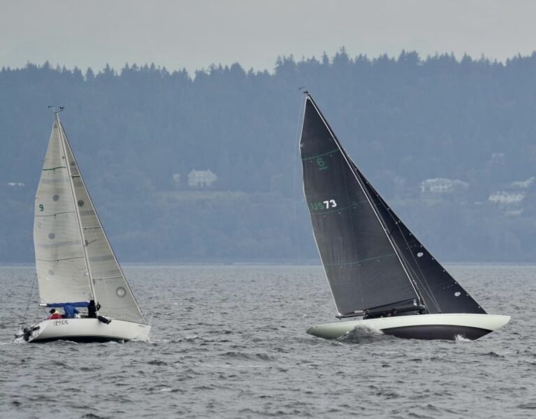 IMG 1222 768x600