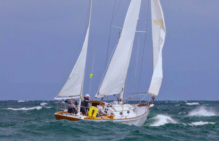 Opera House Cup 2.1 768x493