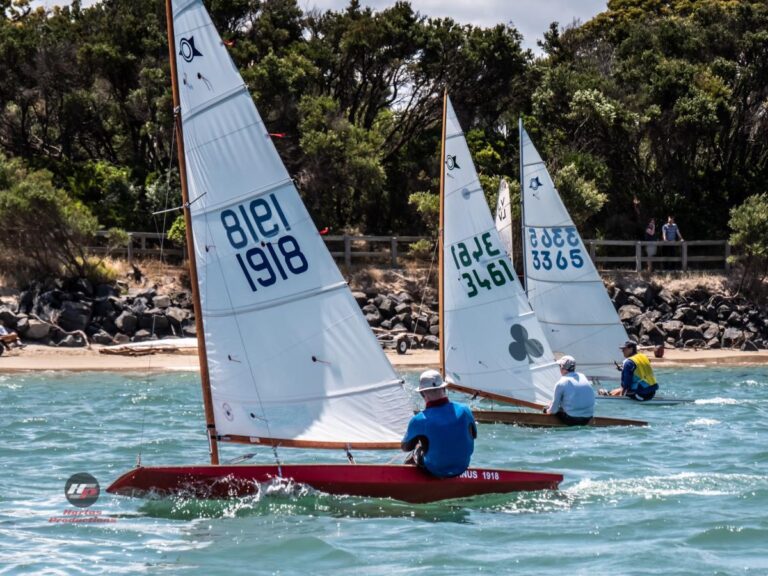 Three Sailfish at ICWDR 2020 768x576