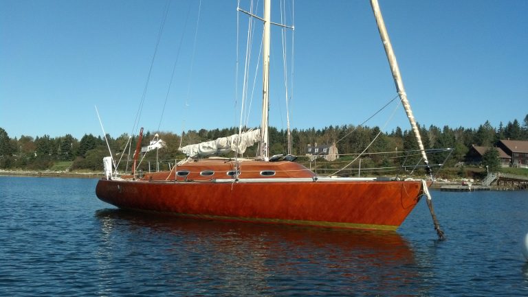 Saint Panzer Brooklin 768x433