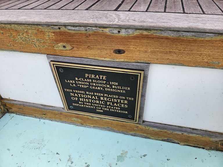 Pirate 9 768x576
