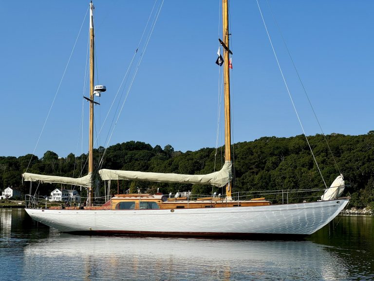 Cygnet1 768x576