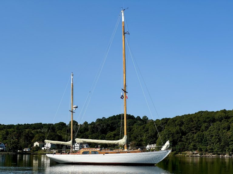 cygnet2 768x576