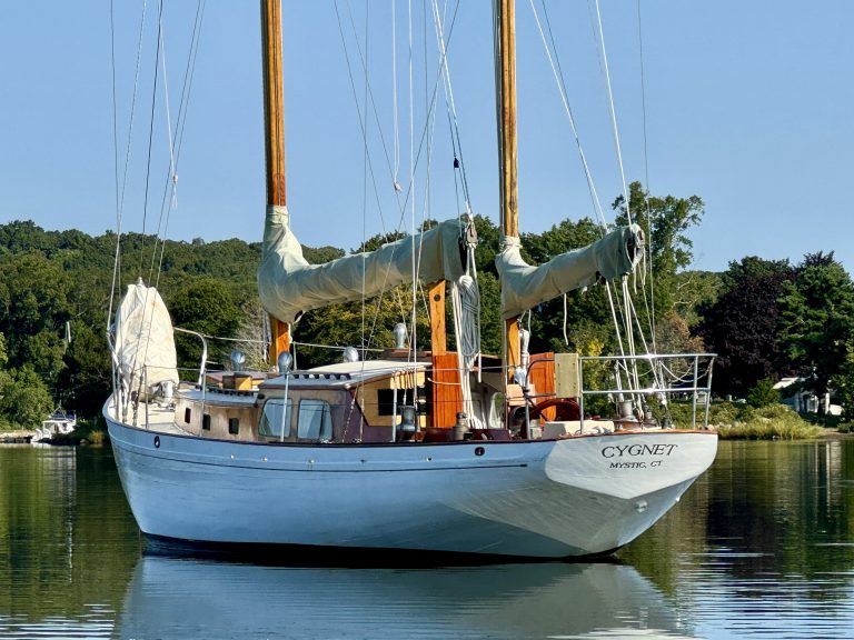 cygnet3 768x576