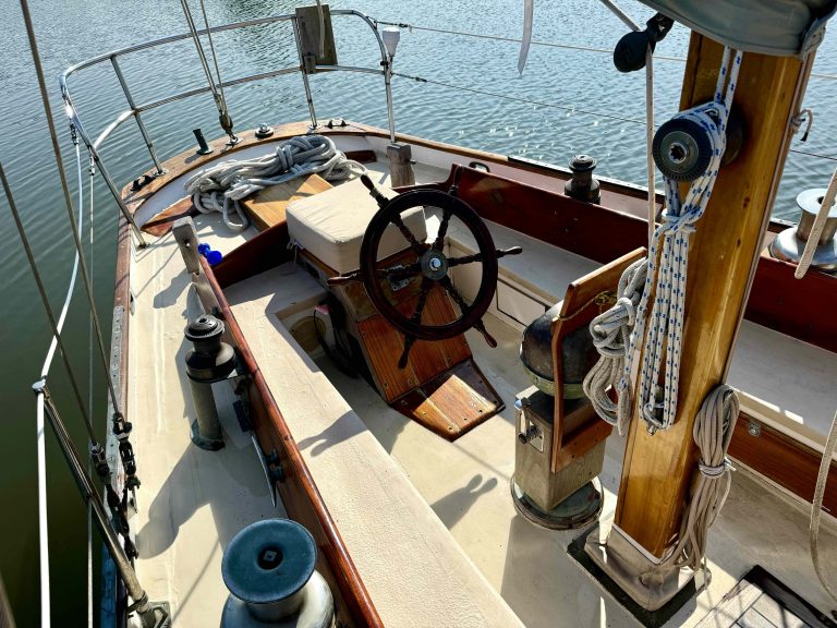 cygnet8 768x576