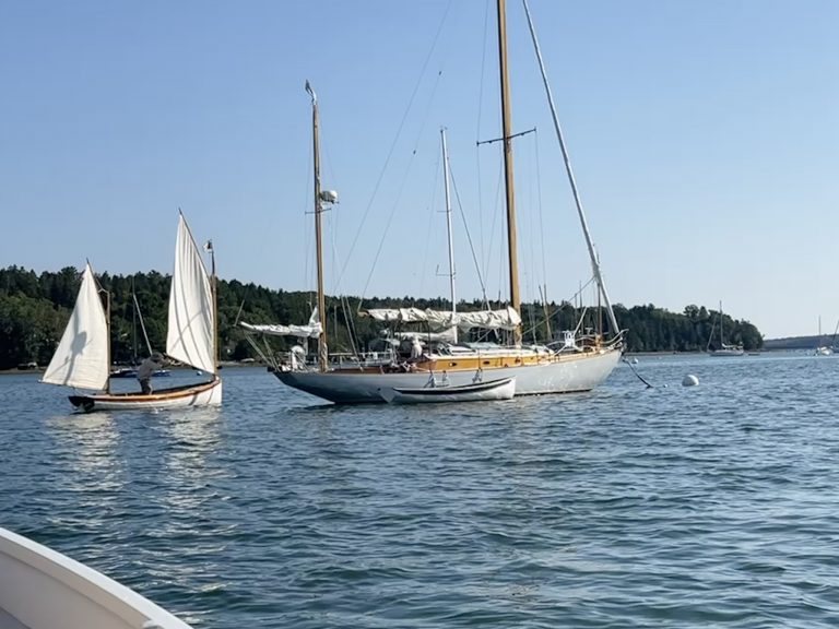 IMG 0007 768x576